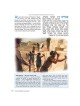 The Illustrated Haggadah - Paperback | Passover | Judaica